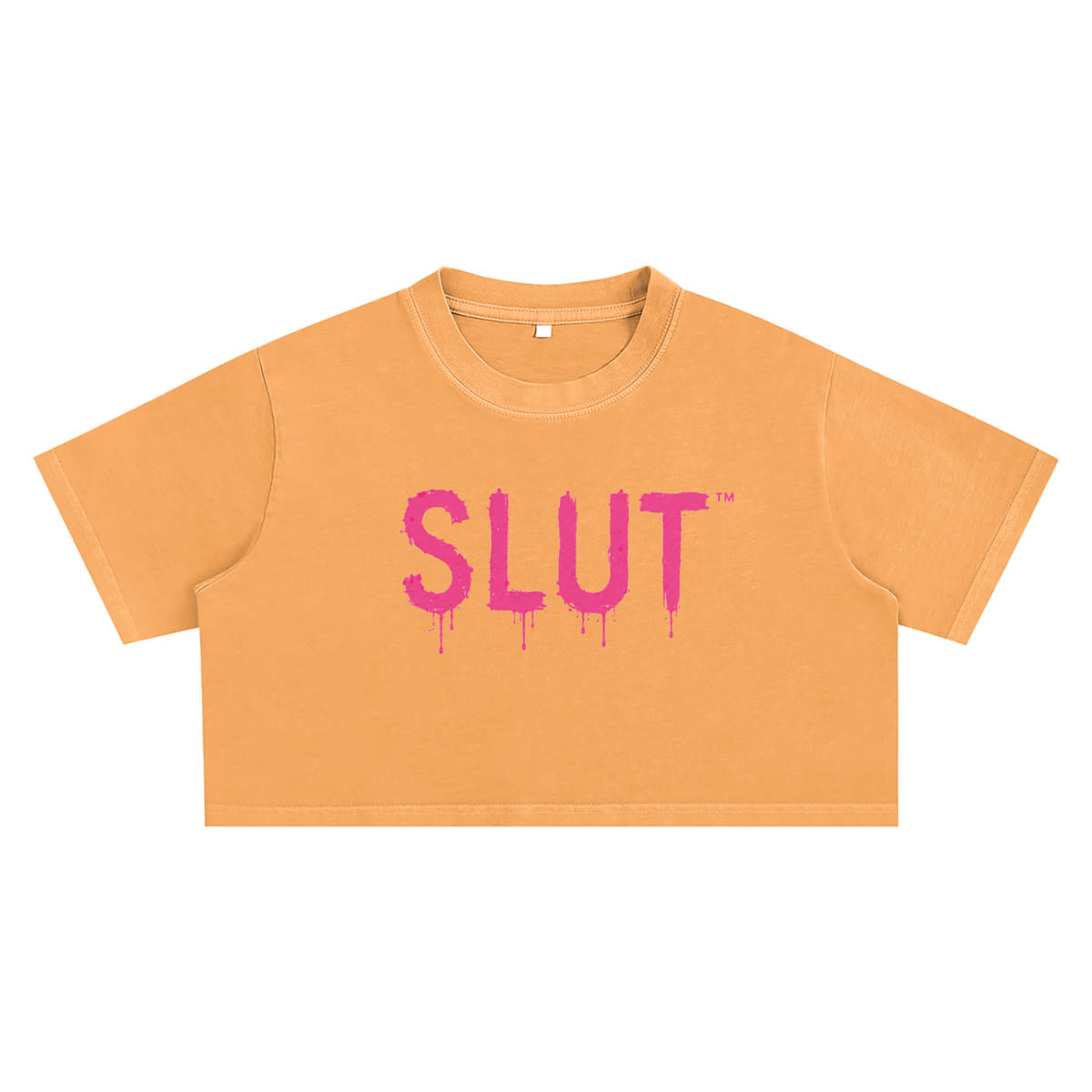 Snow Washed Crop Top slut tee