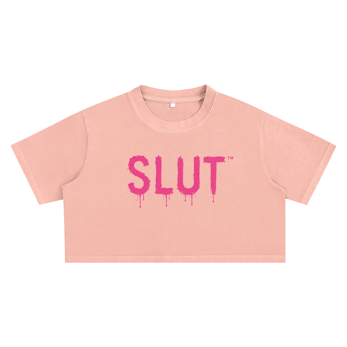 Snow Washed Crop Top slut tee